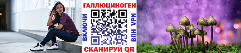 ОМГ ОМГ ССЫЛКА  сайты даркнета состав  Подольск  Псилоцибиновые грибы Psilocybe  где купить наркоту 