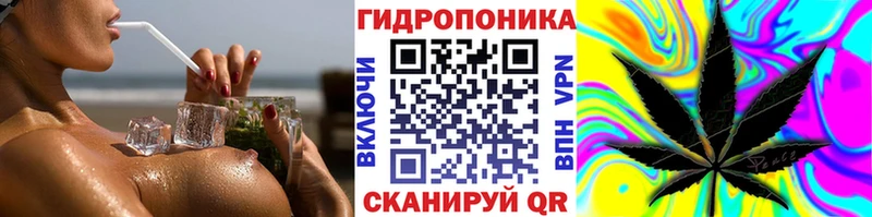 Каннабис ГИДРОПОН  Подольск 